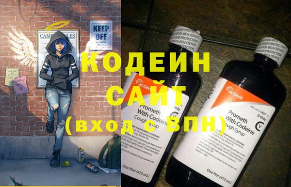 СК Новозыбков